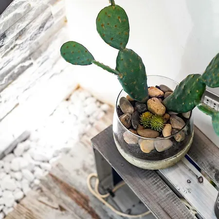 Amuri Holiday Apartment تْشيفالو